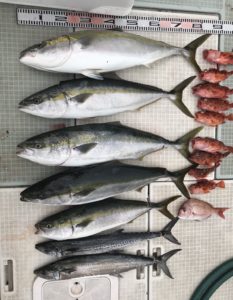 さぶろう丸 釣果