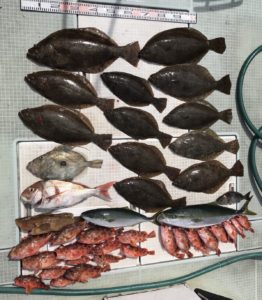 さぶろう丸 釣果