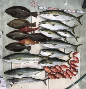さぶろう丸 釣果