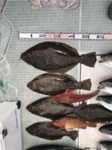 さぶろう丸 釣果