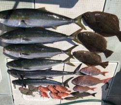 さぶろう丸 釣果