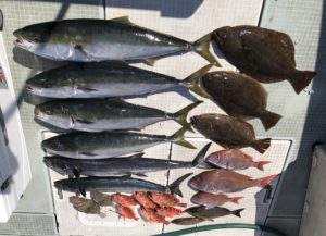 さぶろう丸 釣果