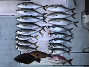 さぶろう丸 釣果
