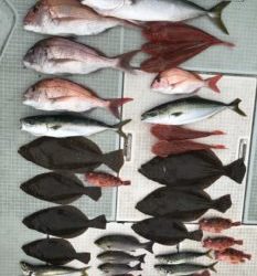 さぶろう丸 釣果