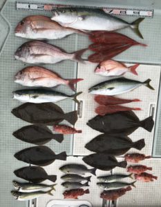 さぶろう丸 釣果