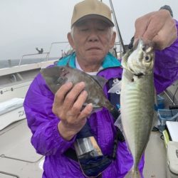 泰丸 釣果