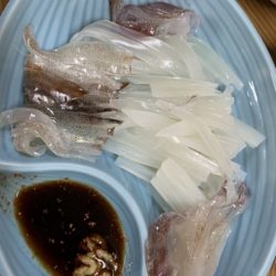泰丸 釣果