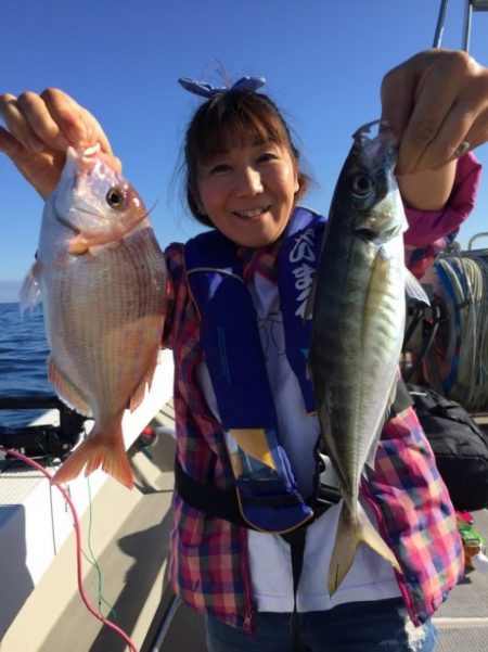 泰丸 釣果