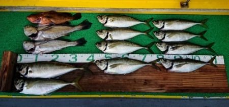 火遠理丸(ほおりまる) 釣果