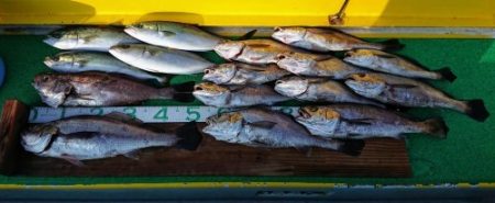 火遠理丸（ほおりまる） 釣果