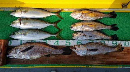 火遠理丸(ほおりまる) 釣果