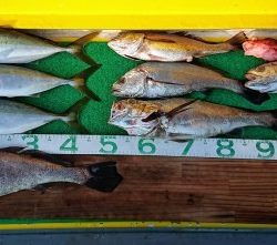 火遠理丸(ほおりまる) 釣果