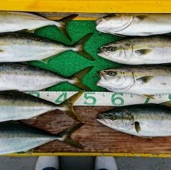 火遠理丸(ほおりまる) 釣果