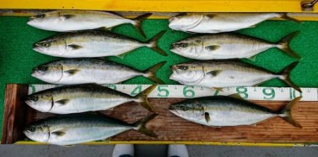 火遠理丸（ほおりまる） 釣果