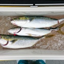 火遠理丸(ほおりまる) 釣果