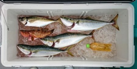 火遠理丸(ほおりまる) 釣果