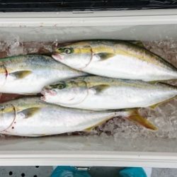 火遠理丸(ほおりまる) 釣果