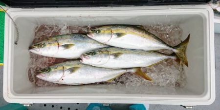 火遠理丸(ほおりまる) 釣果