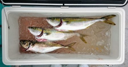 火遠理丸(ほおりまる) 釣果