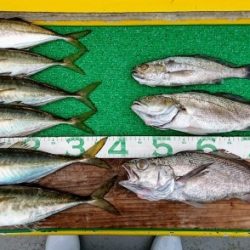 火遠理丸(ほおりまる) 釣果