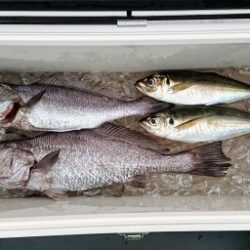 火遠理丸(ほおりまる) 釣果