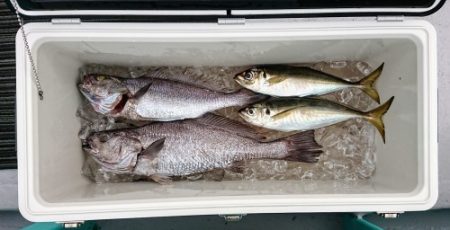 火遠理丸(ほおりまる) 釣果