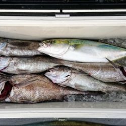 火遠理丸(ほおりまる) 釣果