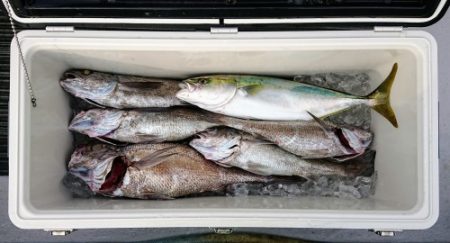 火遠理丸（ほおりまる） 釣果