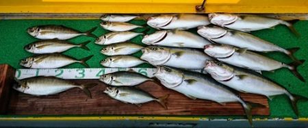 火遠理丸(ほおりまる) 釣果