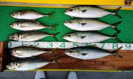 火遠理丸(ほおりまる) 釣果