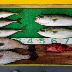 火遠理丸(ほおりまる) 釣果