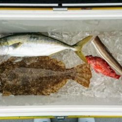 火遠理丸(ほおりまる) 釣果