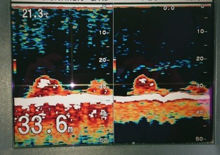 火遠理丸(ほおりまる) 釣果