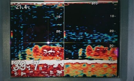 火遠理丸(ほおりまる) 釣果