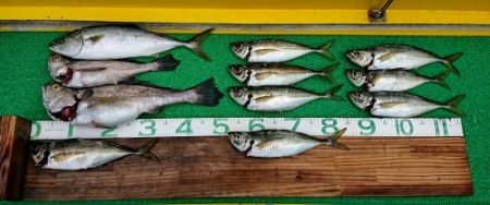 火遠理丸（ほおりまる） 釣果