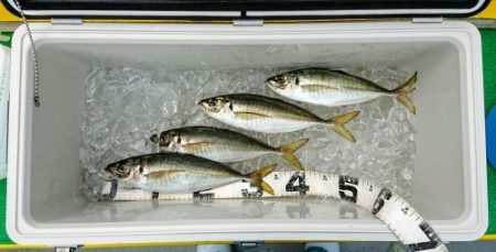 火遠理丸（ほおりまる） 釣果