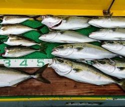 火遠理丸(ほおりまる) 釣果