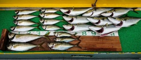 火遠理丸(ほおりまる) 釣果