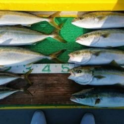 火遠理丸(ほおりまる) 釣果