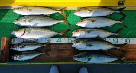 火遠理丸(ほおりまる) 釣果