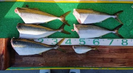 火遠理丸(ほおりまる) 釣果