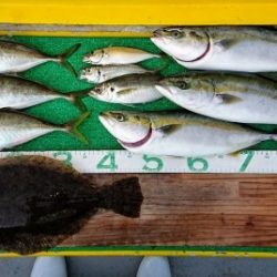 火遠理丸(ほおりまる) 釣果