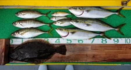 火遠理丸(ほおりまる) 釣果