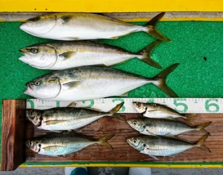 火遠理丸(ほおりまる) 釣果