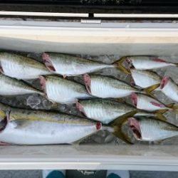 火遠理丸(ほおりまる) 釣果