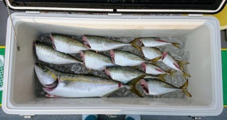 火遠理丸(ほおりまる) 釣果