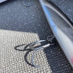 へいみつ丸 釣果