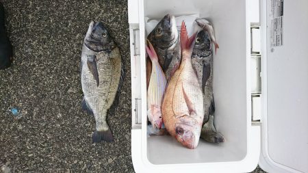 筏マルキ 釣果