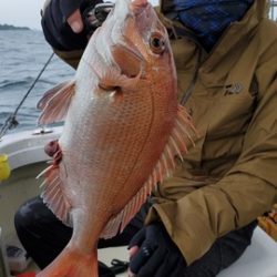 遊漁船 ニライカナイ 釣果