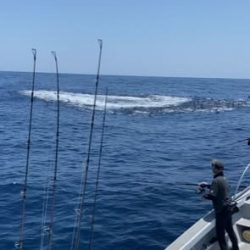 へいみつ丸 釣果